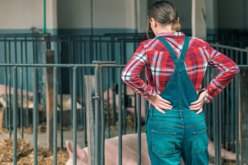 США грозит дефицит свинины из-за остановки 10 мясокомбинатов